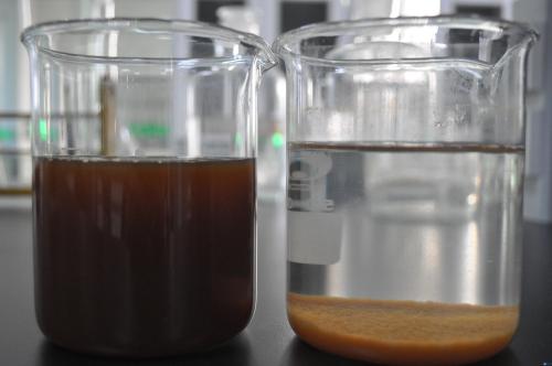 高分子聚丙烯酰胺廠家