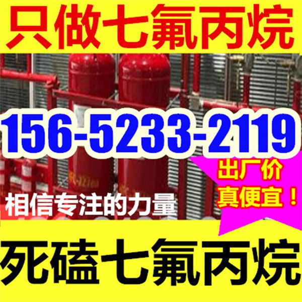 管網(wǎng)七氟丙烷滅火裝置報價
