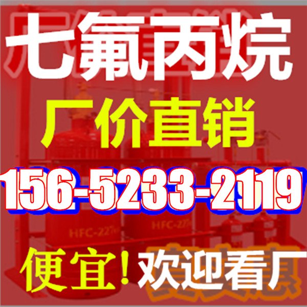 備壓式七氟丙烷滅火裝置批發