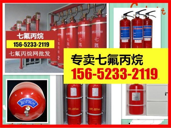 手提式七氟丙烷滅火系統