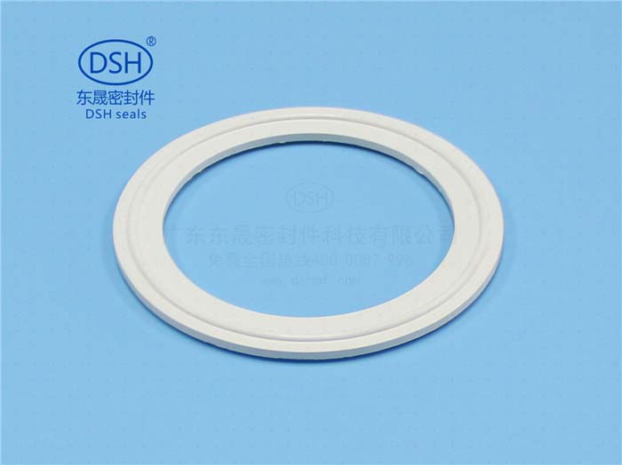 墊圈食品級密封墊圈/墊片墊圈生產(chǎn)廠家原始圖片2