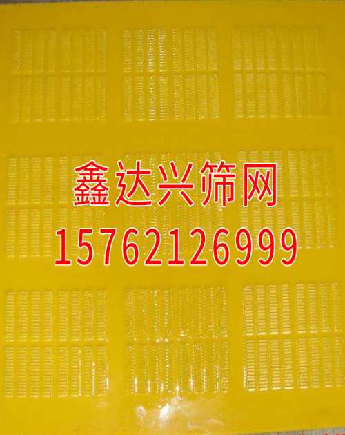 優質脫水篩網供應 口碑好的聚氨酯篩網供貨廠家 濱州經濟技術開