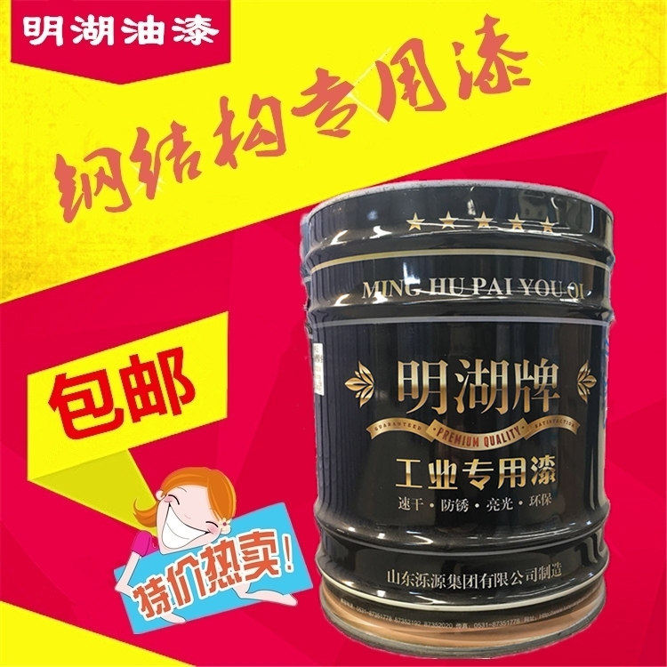 山東明湖 導靜電涂料什么價格原始圖片2