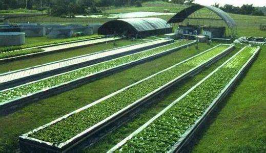 貴州生態養殖觀光 農業種植技術 貴州輝煌農業開發有限公司