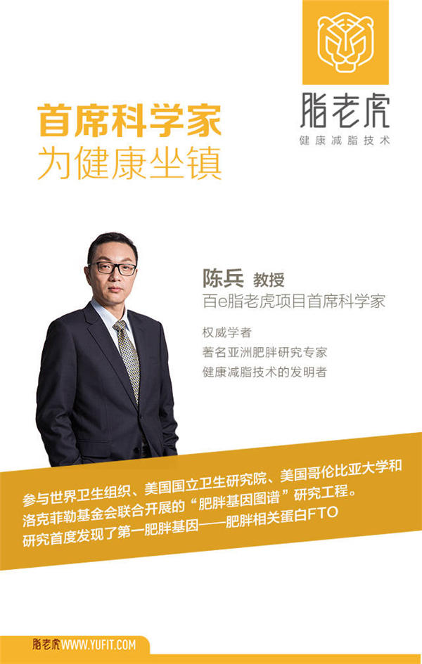 脂老虎代理找誰，怎么拿貨