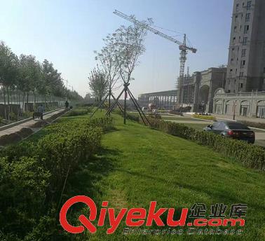 小區(qū)綠化工程