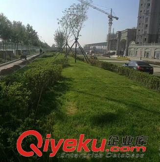 沈陽市綠化工程公司