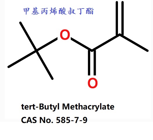 供應 甲基丙烯酸叔丁酯 廠家直銷 gd車漆 原料