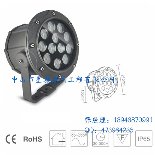廠家供應LED投光燈 建筑外墻射燈雕塑景觀燈 園林照樹燈