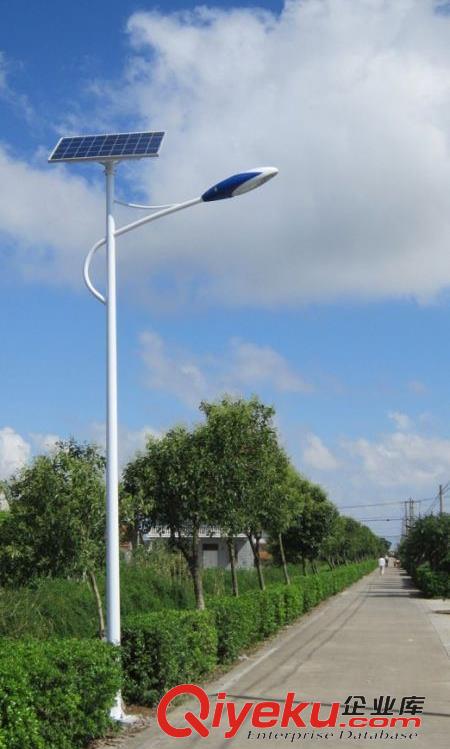 廠家供應園林景觀燈 大型戶外照明景觀燈 定制{gx}節能道路原始圖片3